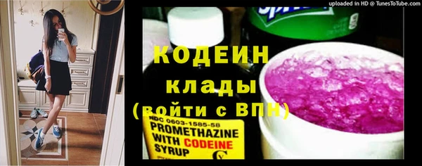 амф Верхний Тагил