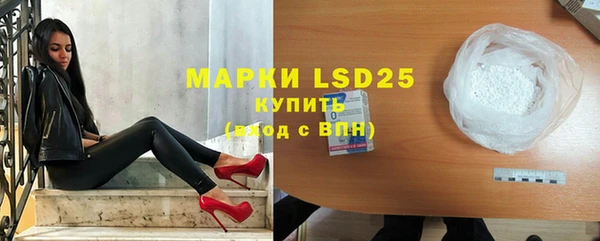 амф Верхний Тагил