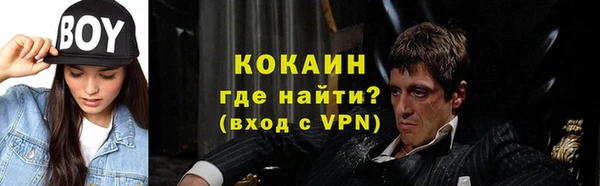 амф Верхний Тагил