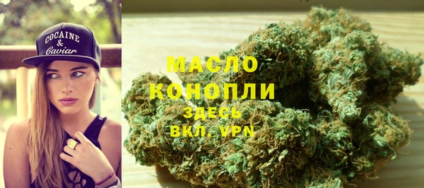 амф Верхний Тагил