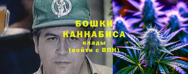амф Верхний Тагил